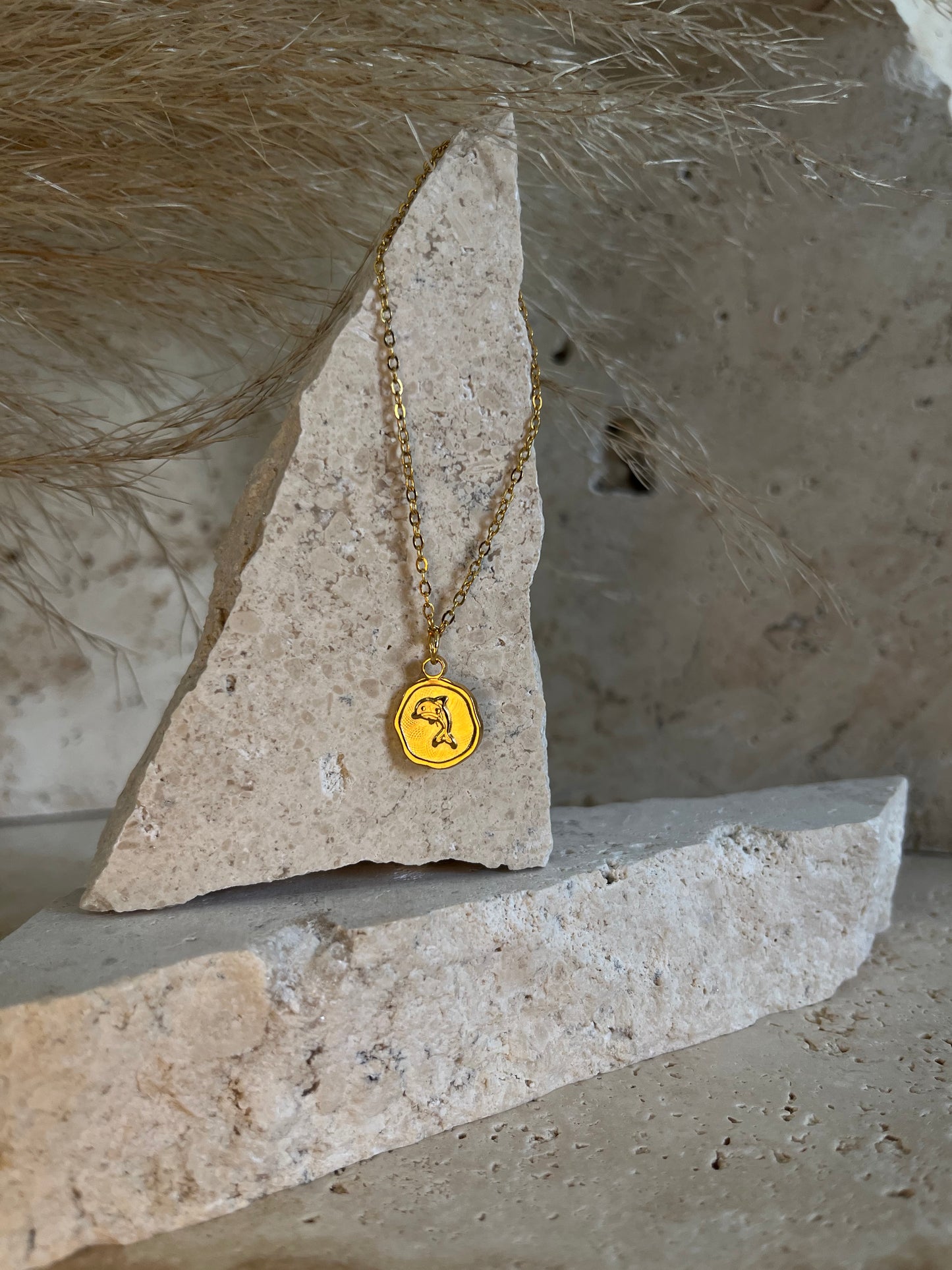 Dolphin Around Anklet
