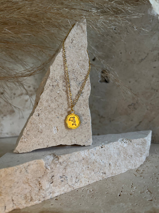 Dolphin Around Anklet